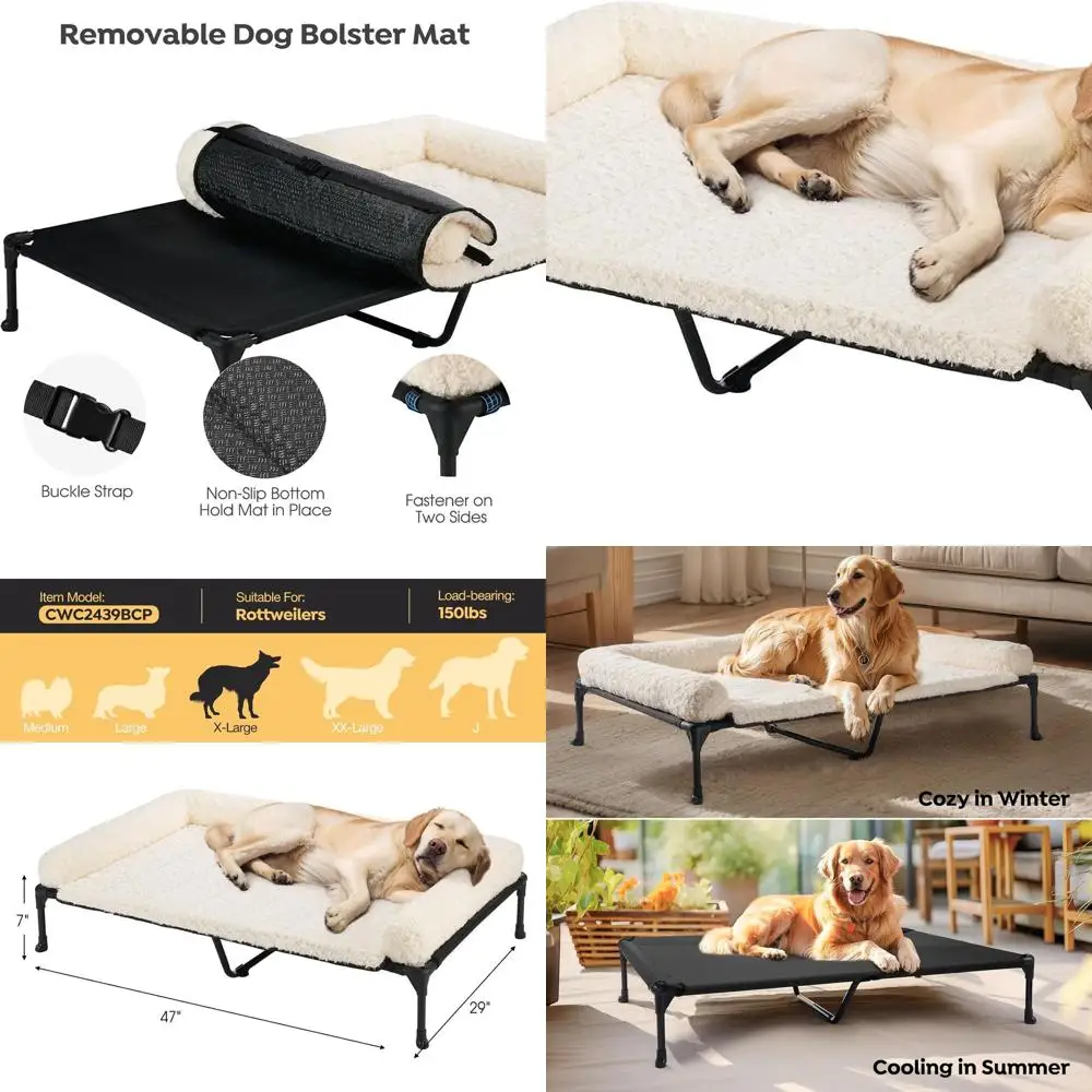 Elevated Orthopedic…