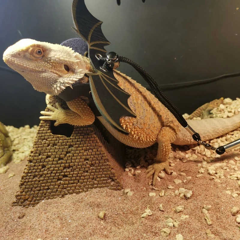 ชุดสายจูง Lizard Harness, สัตว์เลี้ยงปีนเขาออกไปสายรัดหน้าอกปีกหนัง, เชือกลากกระรอก