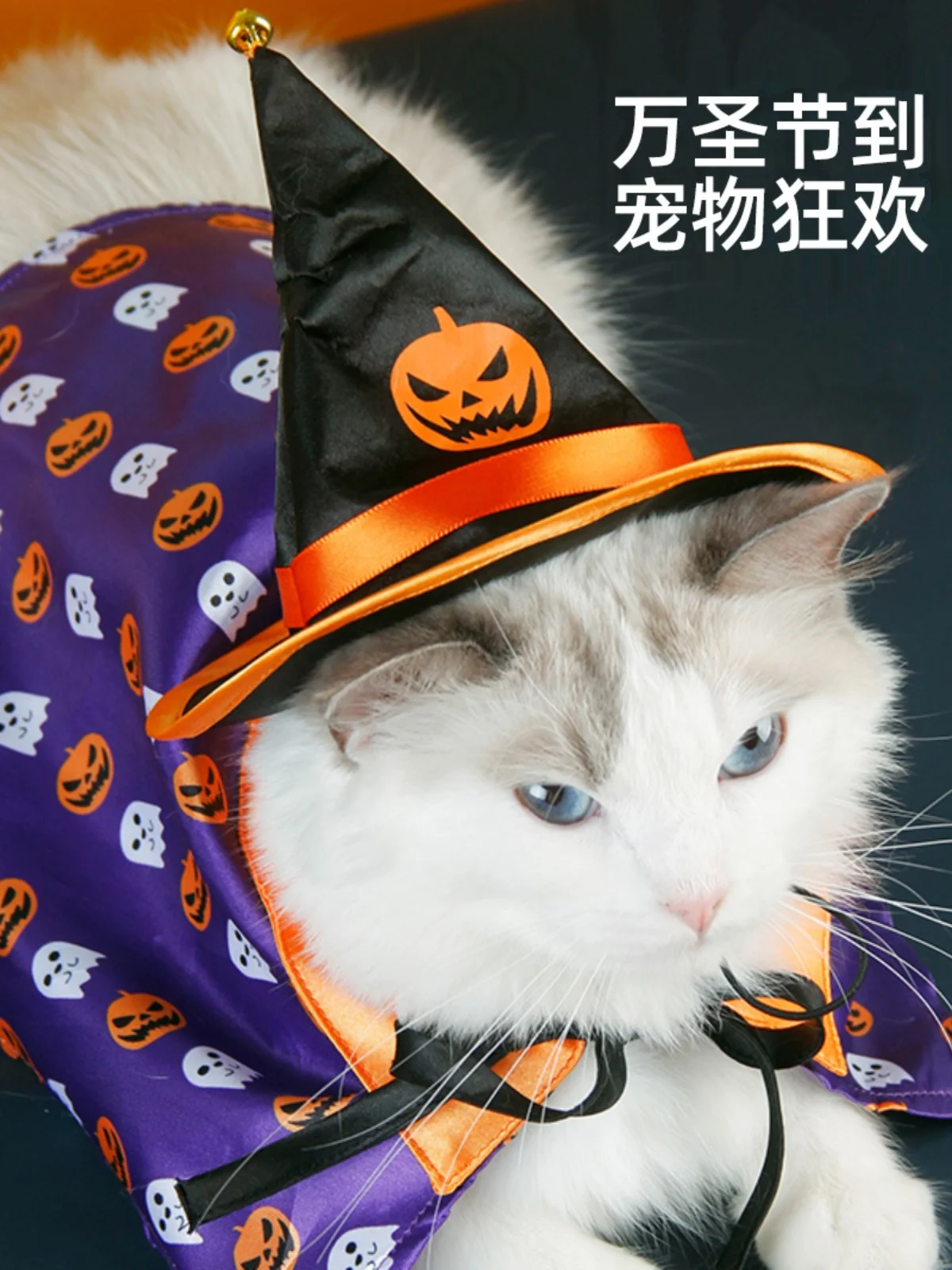 Halloween new cat clothes dog pumpkin hat cape thin pet funny cape set