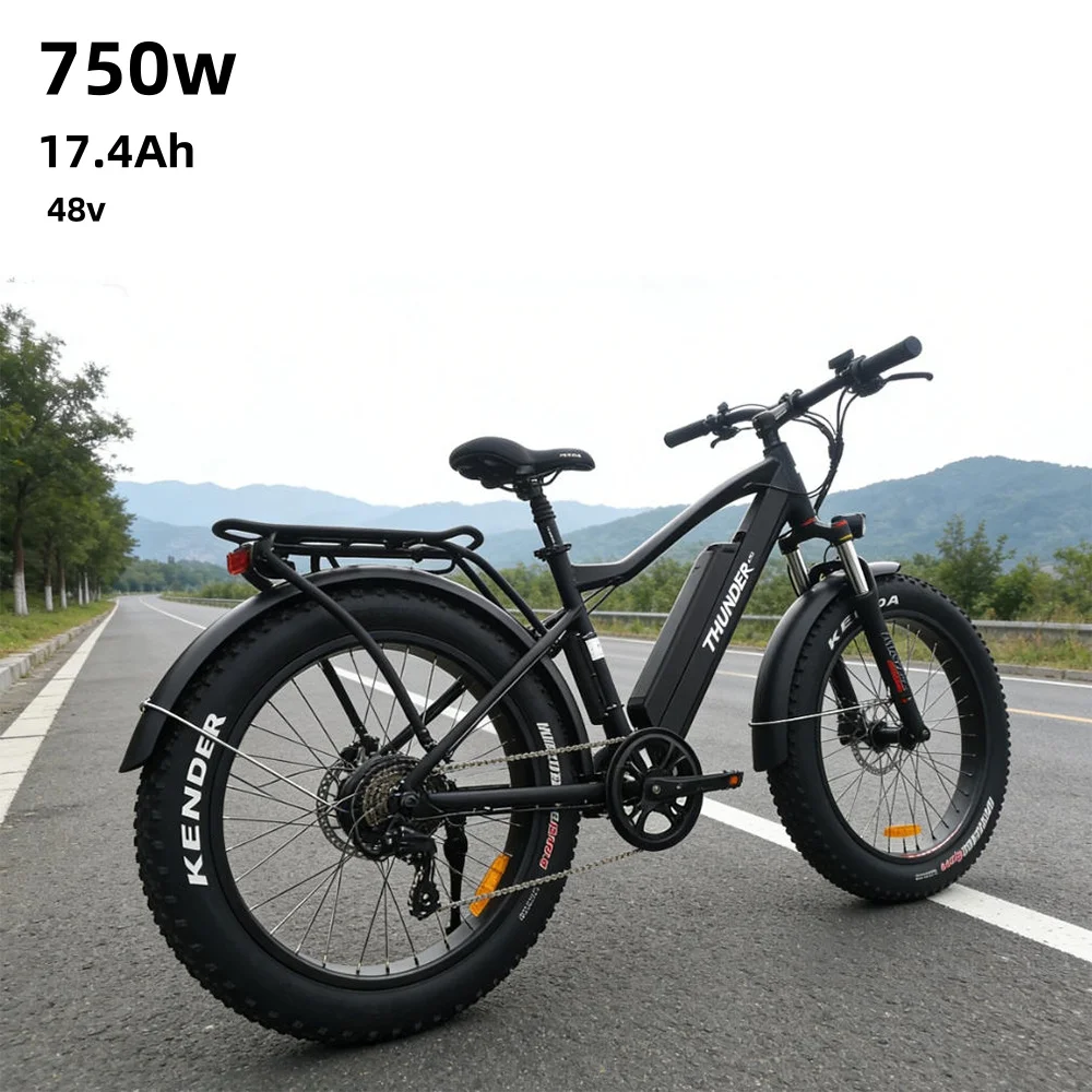 

26' Fat Tire Electric Mountain Bicycle 48V 750W Rear Hub Motor Off-Road Ebike - Electric Bike for Off-Pavement Adventures