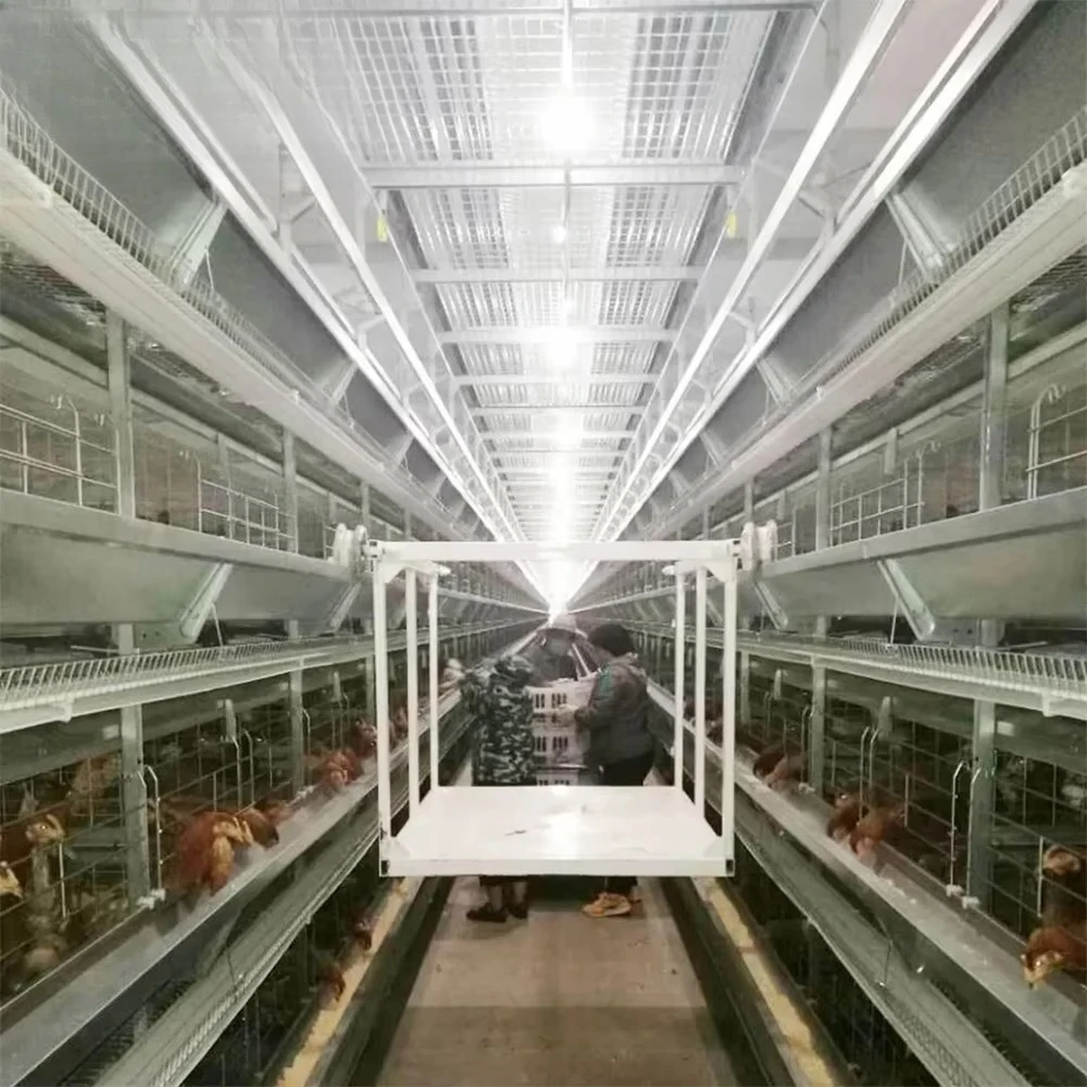 50000 Capacity H Type 12 Row Stand Cage Farm Layer Hen Cage Breeding Poultry House Battery Layer Chicken Cage for Birds Fowl