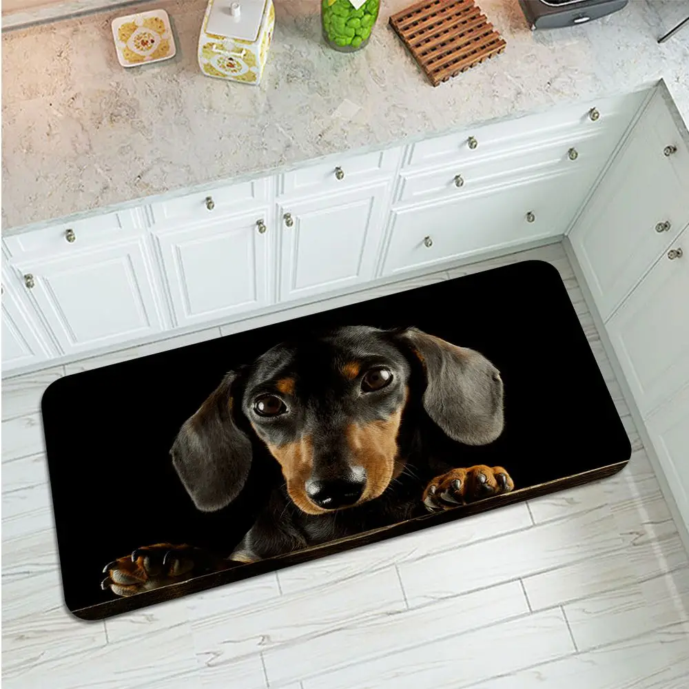 Dachshund Dog Bathroom Mat INS Style Soft Bedroom Floor House Laundry Room Mat Anti-skid Modern Home Decor