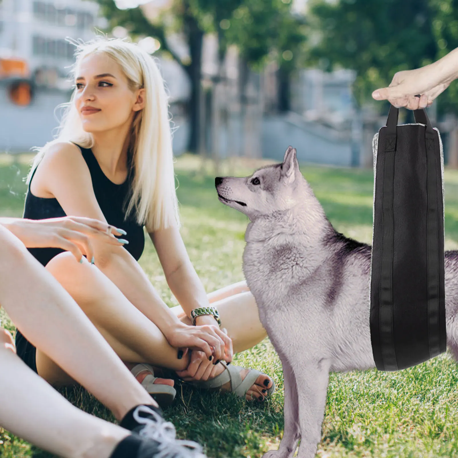 

Dog Hip Support Sling Pet Injury Recovery Band Multi-Use Lifting Harness for Degenerative Myelopathy Outdoor Portable