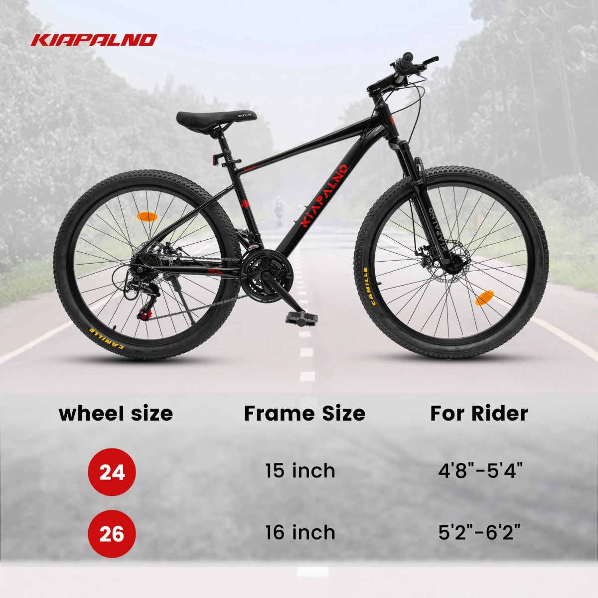 A26472B ECARPAT 21速マウンテンバイク、24 - Commuting On Road Bike のレビューと価格