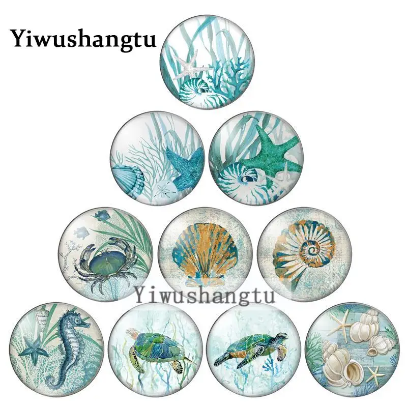 Graphic art sea horse starfish 8mm/10mm/12mm/18mm/20mm/25mm Round photo glass cabochon demo flat back Making findings ZB0543