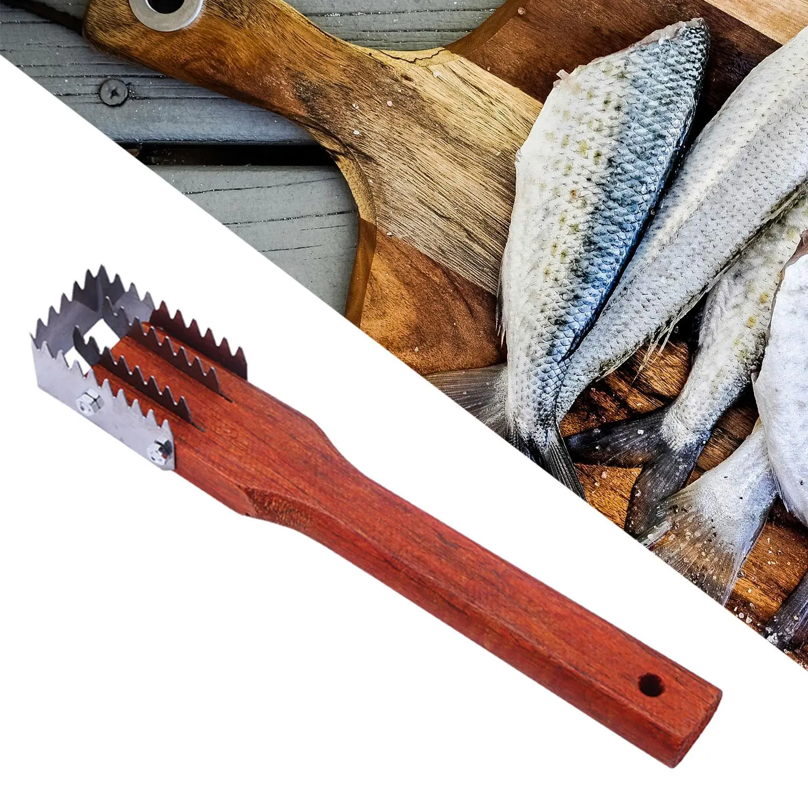 Fish Scale Cleaner Scraper Portable Stainless Steel and Wood Descaler Kitchen Tools for Home Seafood Preparation