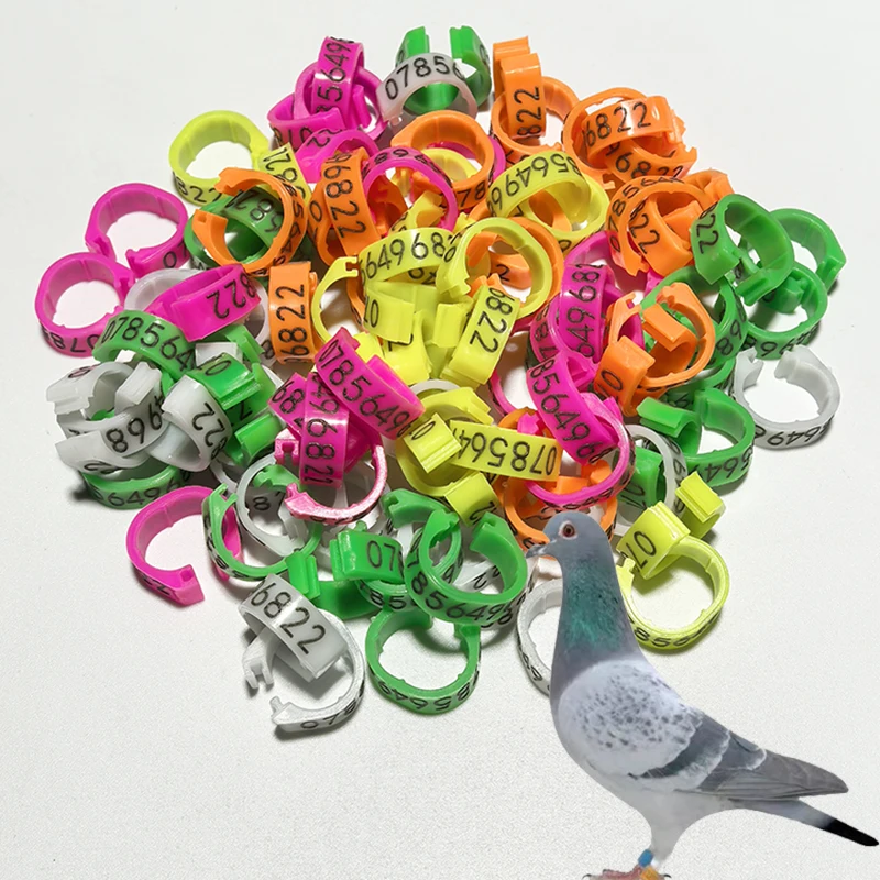 Personalized 100PCS inner 8MM High 5mm Plastic Pigeon Dove Bands Rings - custom laser engraved