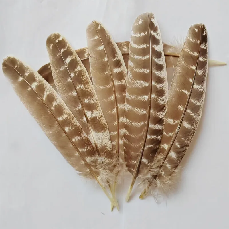 Wild Turkey Feathers,100Pieces-NATURAL BARRED Wild Turkey Wing Round Quill Feathers,Turkey Square Quills,Feathers Decoration