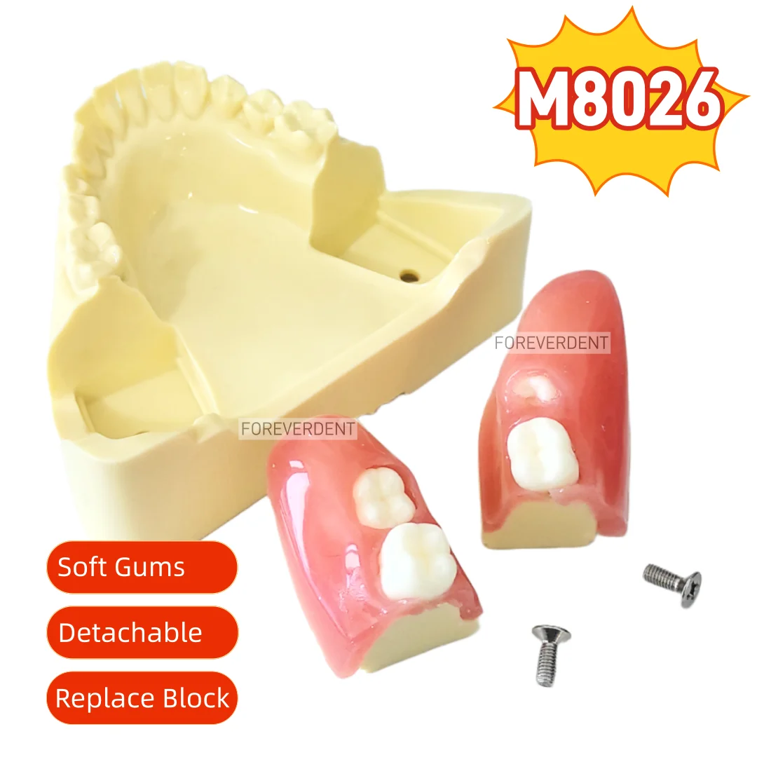 

M8026 Impacted Wisdom Tooth Extraction Training Model Dental Tooth Model Oral Teaching Replaceable Base