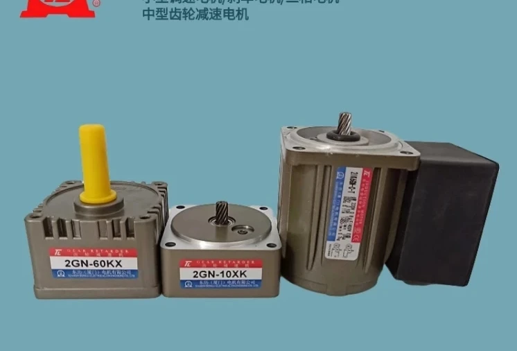 Motor 2IK6GN-CT/2GN10XK/2GN60KX , Taiwan Dongli Motor