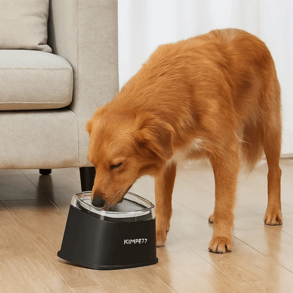 

Non-Wetting Mouth Pet Floating Bowl Spill Proof Anti-Tip Pet Water Bowl Large Capacity Removable Pet Drinking Dispenser