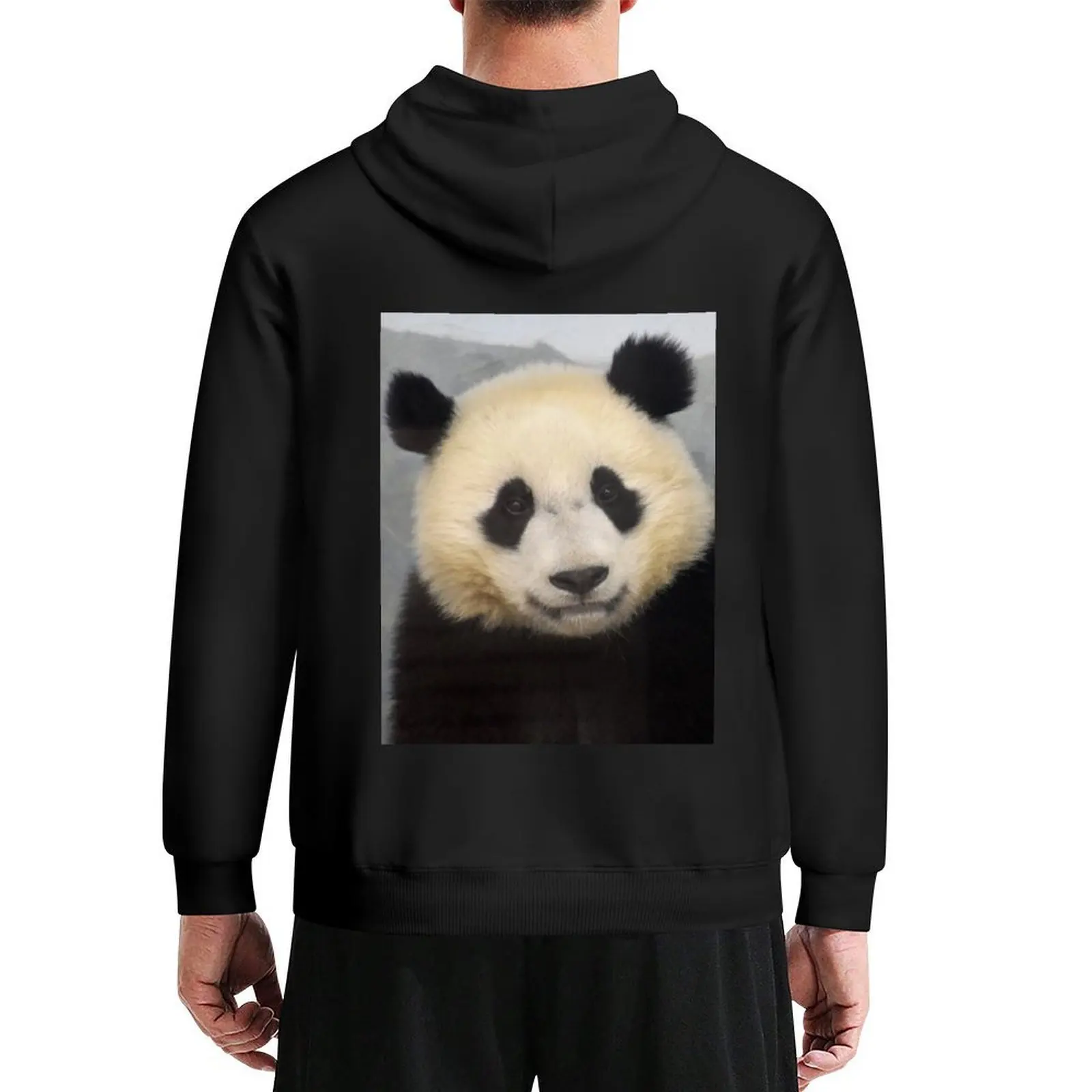 

Giant Panda Xiao Qi Ji at the National Zoo Hoodie japanese style men's sweat-shirt set men clothing anime clothing anime hoodie