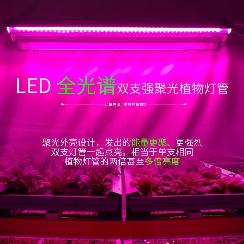 Nieuwste Groeiende Lampen Led Full Spectrum Plant Bol Kas Indoor Plant Grow Light Eu/Au/Uk/Us Plug Meerdere Kleuren Beschikbaar