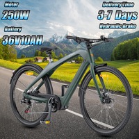 ENGWE N1pro Electric Bicycle 250W Motor 36V10AH Removable Battery Hydraulic Brake Electric Bike GPS Tracking Aldult City E-bike