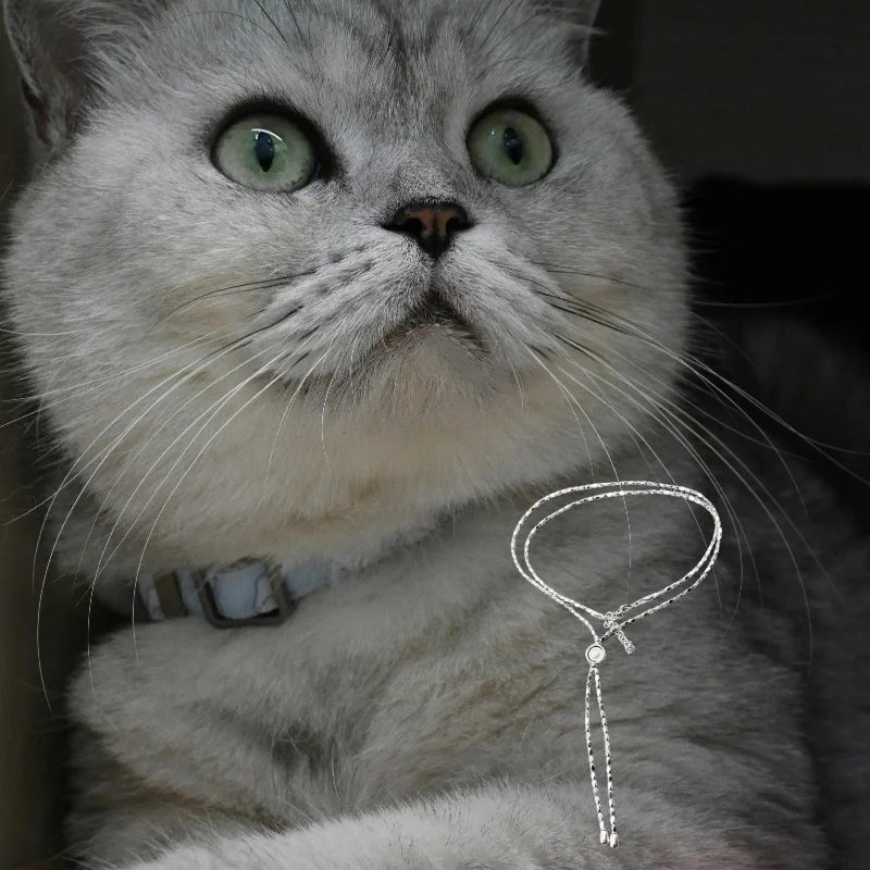 

2025 fashion hot selling Spanish trend silver high-end necklace exquisite jewelry layering versatile simple accessories