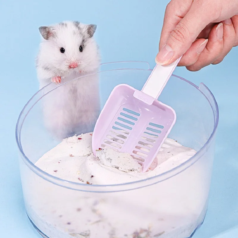 مجرفة رمل البول الهامستر، سلك ذهبي لتنظيف الدب، مجرفة آيس كريم للحمام الرملي، مجرفة بول خاصة للمرحاض، يوميًا #2