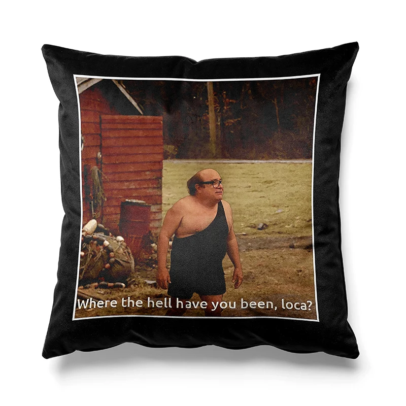 Aertemisi 18'' x 18'' Where the Hell Have You Been Loca Square Throw Pillow Cushion Covers Cases Pillowcases 45cm x 45cm