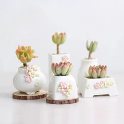 Simple White Porcelain Flowerpot Pinched Flower Succulent Plant Pot Mini Mini Master Indoor Fresh Handmade Korean Control Basin