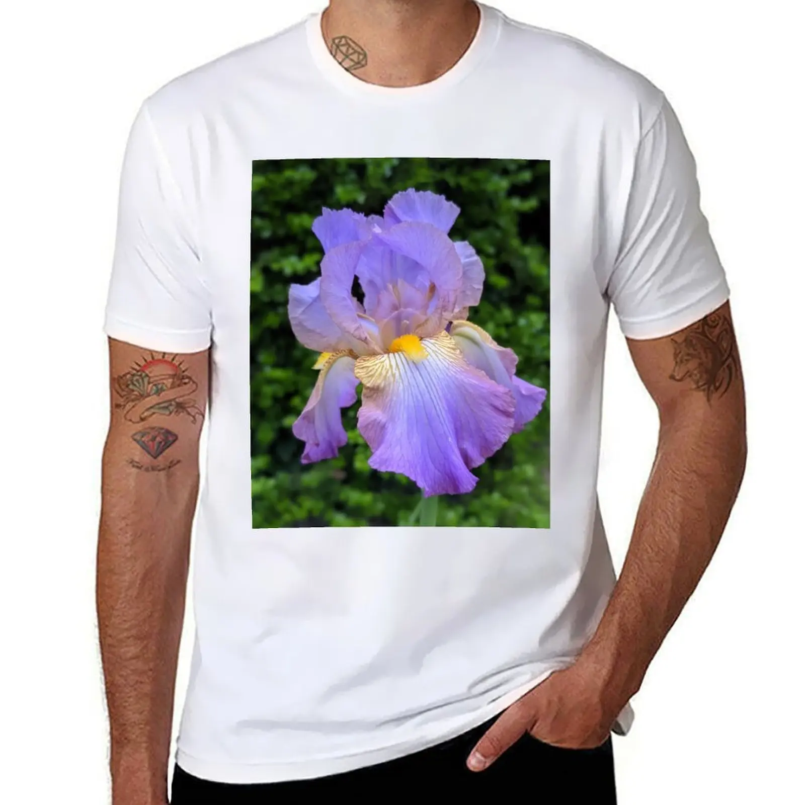 

T-Shirt Purple percent shirt Photographic 100% man essential t for tshirt cotton shirt t Image cotton 100 Iris