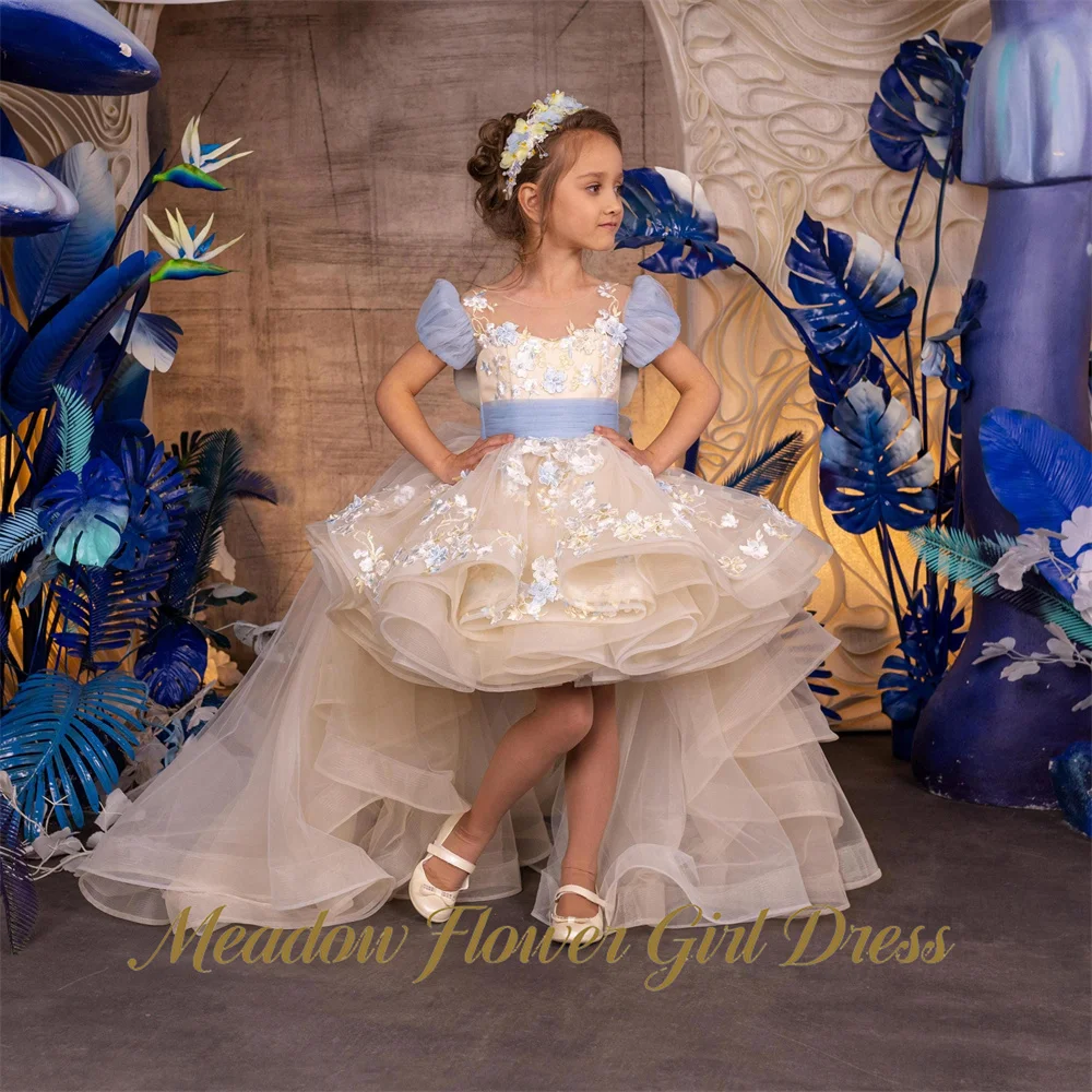 Meadow Champagne First Communion Gown Round Neck Short Sleeve Girls Princess Dress 3D Floral Evening Party Dress for Girls