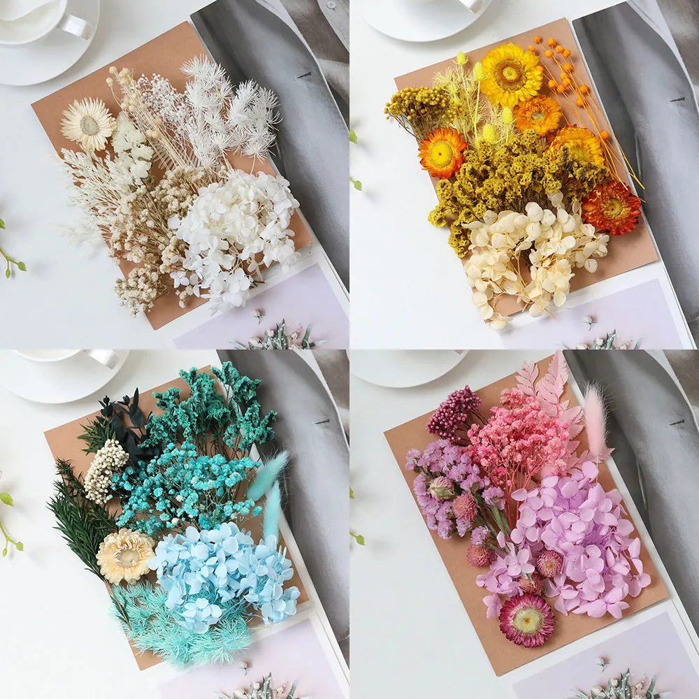 Natural Real Dried Flowers Leaves Set Mixed Hydrangeas Daisies For DIY Candle Resin Jewelry Crafts Pendant Floral Decor Supplies