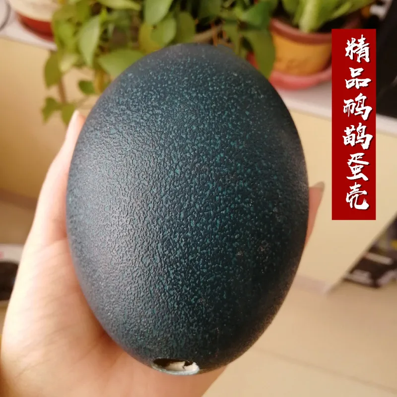 Emu Egg Shell, Carving Painting Crafts Decoration Raw Materials, Holiday Gifts Ornaments