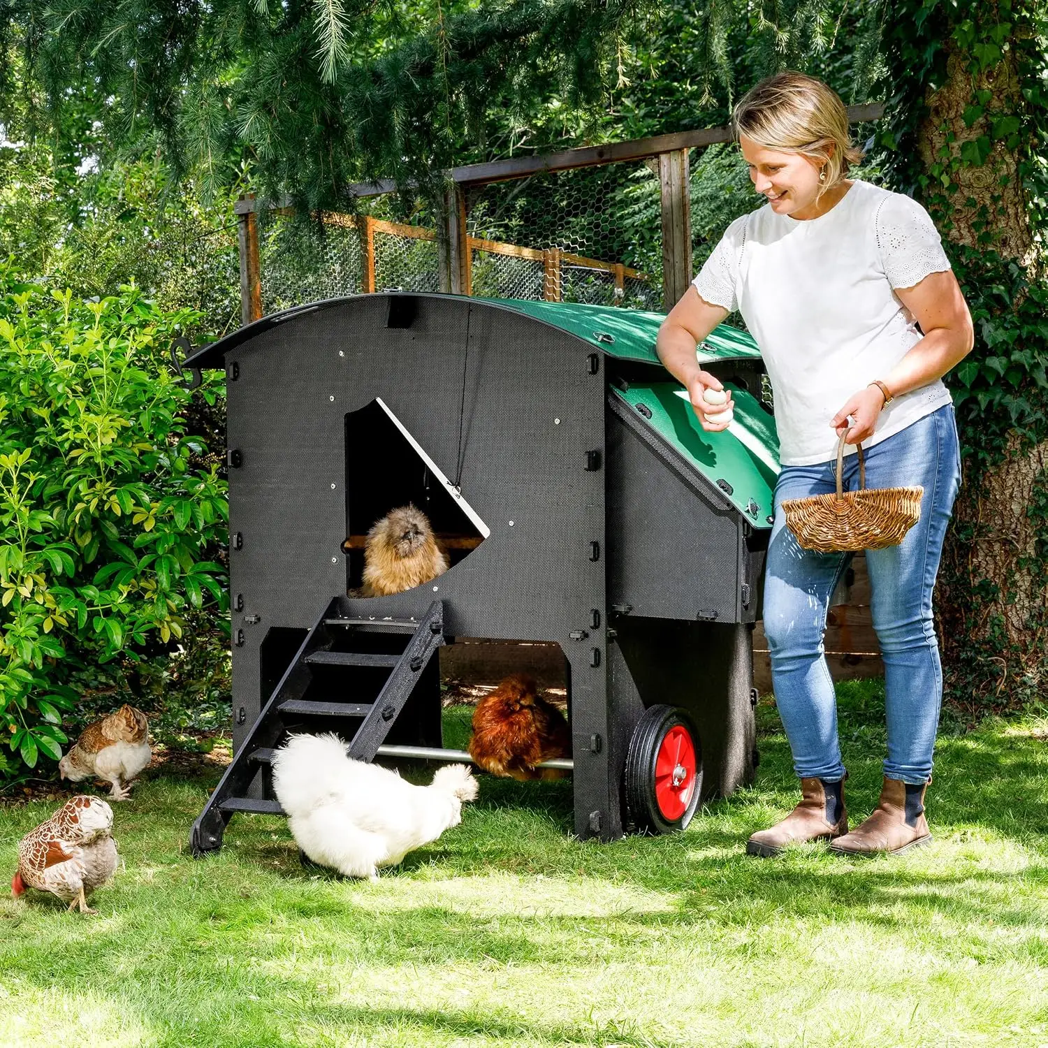 Plastic Chicken Coop 25yr Lifespan - Large Penthouse Chicken Coop for 8 Chickens Or 15 Bantams | 2 Rounded Perches for Chickens