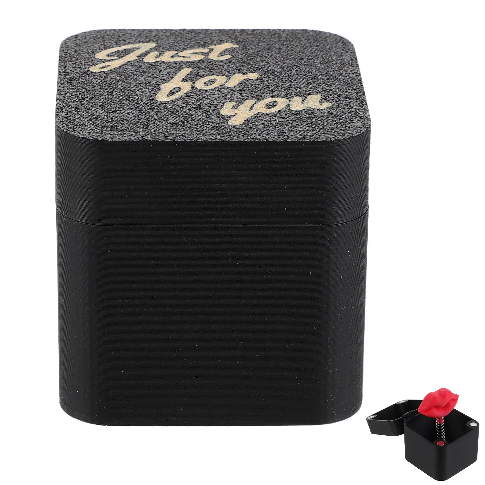 Entertaining Prank Present for Adults Funny Gag Gift Joke Novelty Item for Friends Family Laughter Fun Unique Surprise