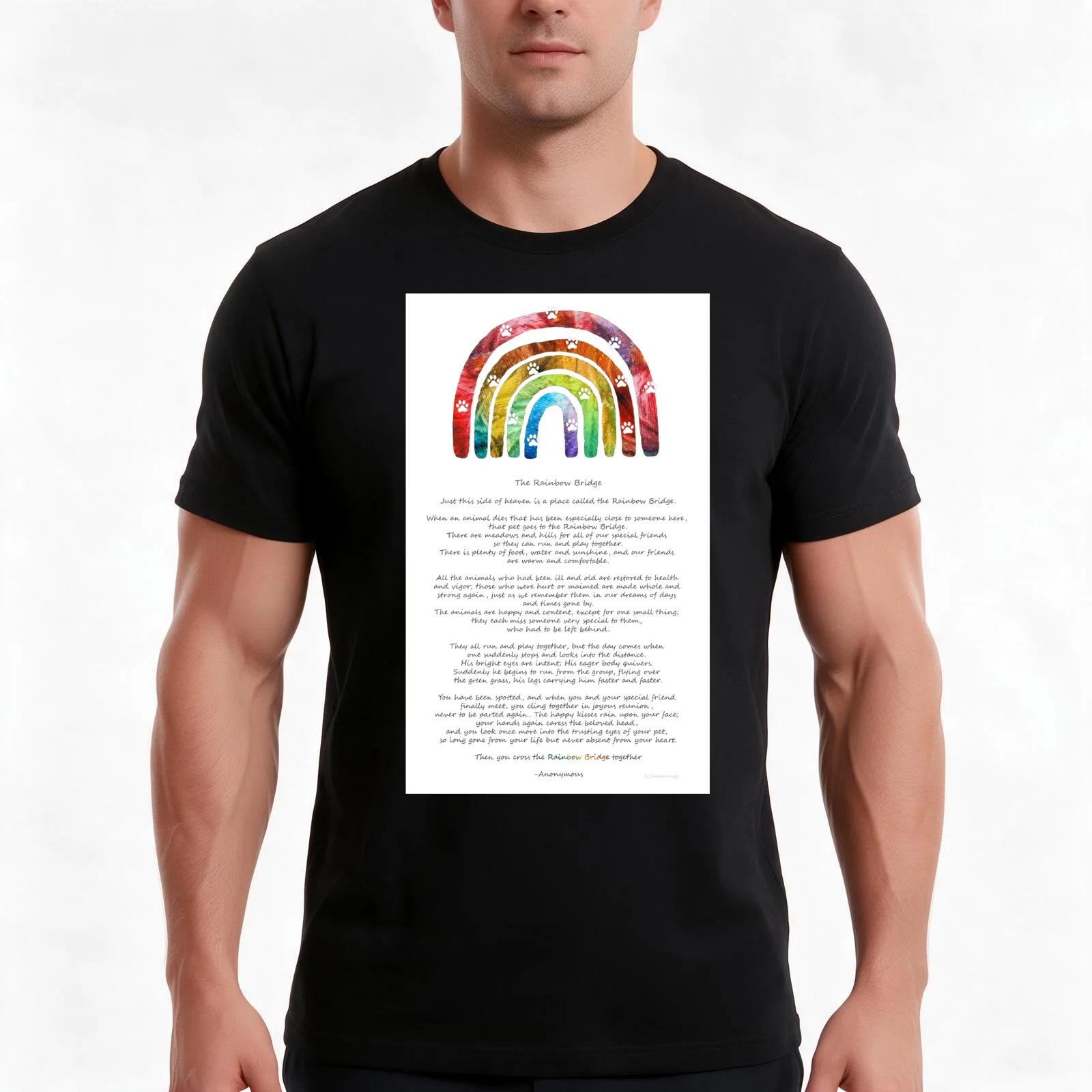 The Rainbow Bridge Art For Pet Memorial by Sharon Cummings T-Shirt, Summer Casual Cotton Tee, Oversized Streetwear Tops