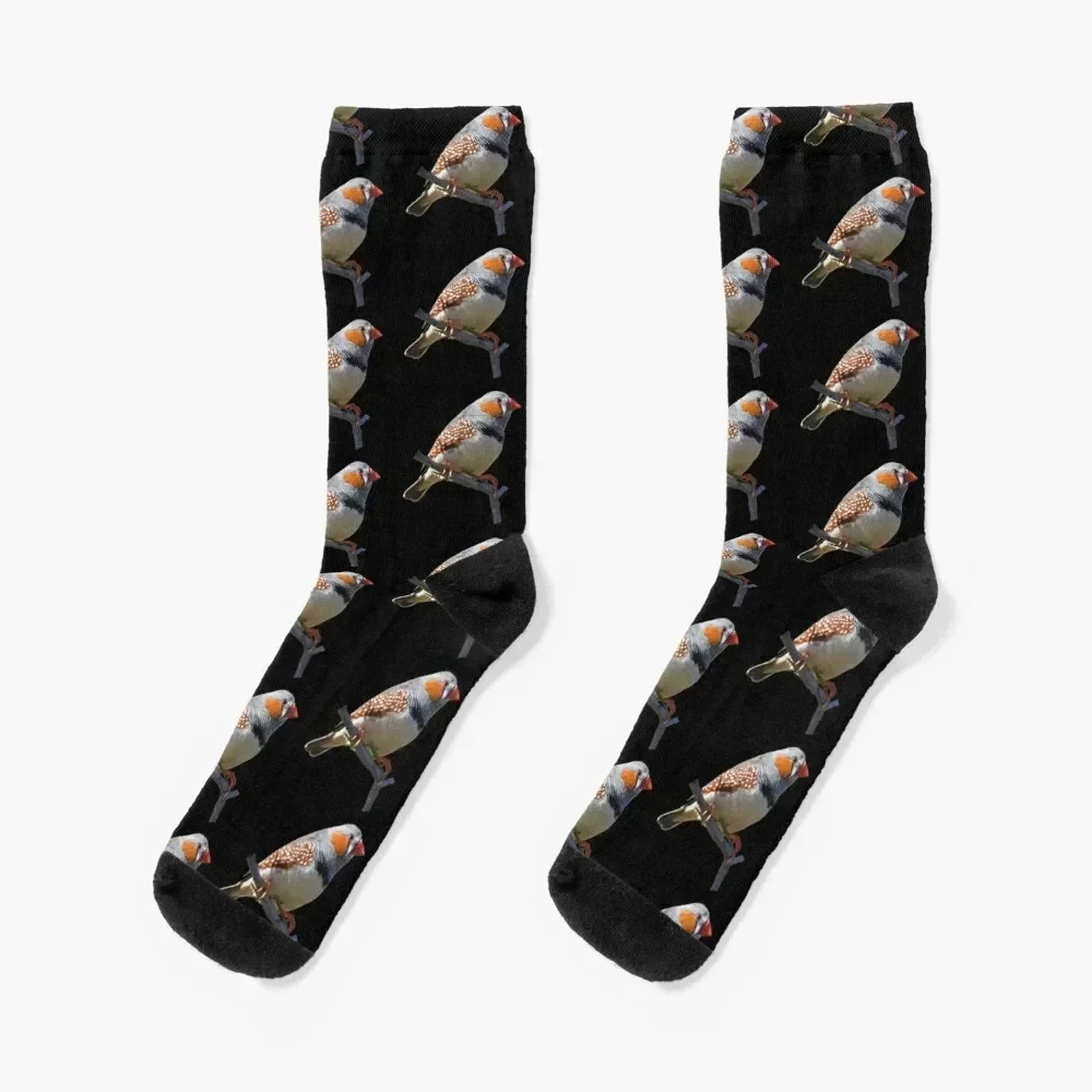 Zebra Finch 5 Socks designer with print Children's Woman Socks Men's