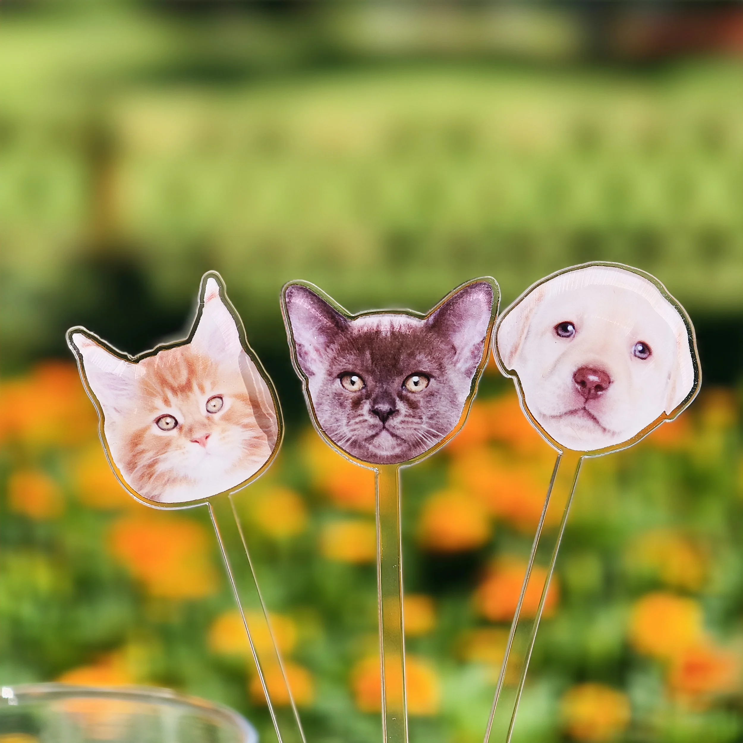 

Pet photos Drink Stir Wedding Gift Table Decoration Personalized Cocktail Stirrers Acrylic Party Drink Stirs Party souvenir