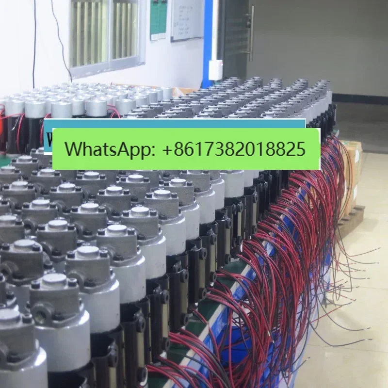 DC 12V/24V AC 220V Small DC Gear Oil Pump Refueling Machine