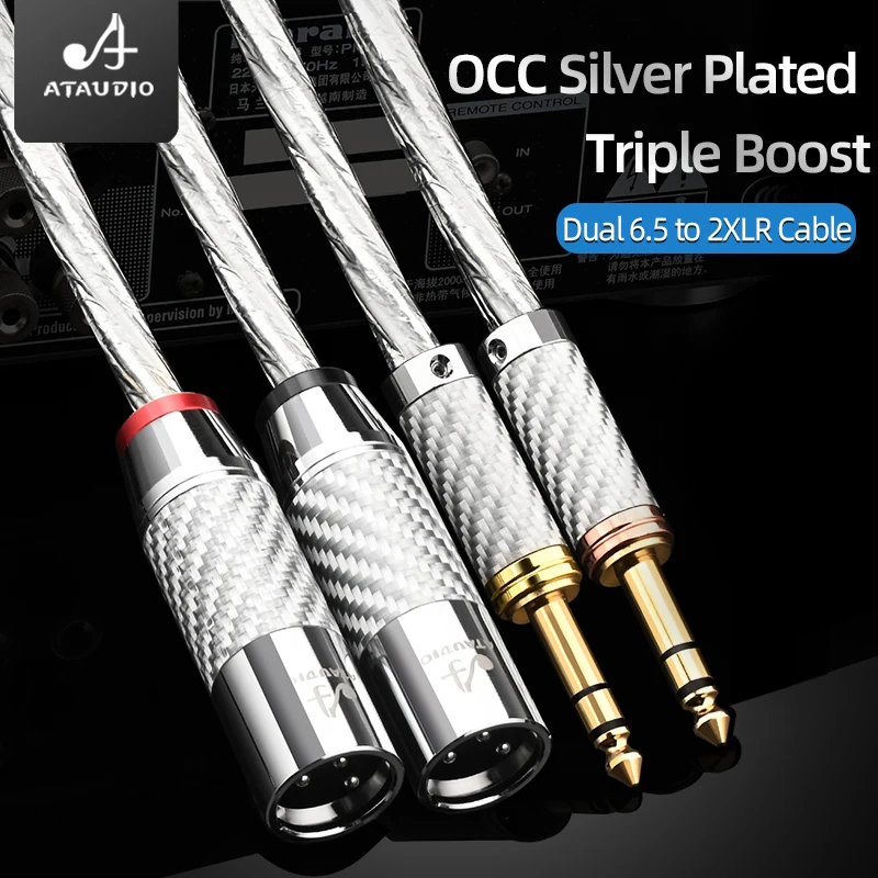 HiFi Dual 6.5 to 2XLR Aduio Cable High Quality OCC Silver Plated  Dual 6.5mm TRS to Dual XLR Cable for Mixer Speaker