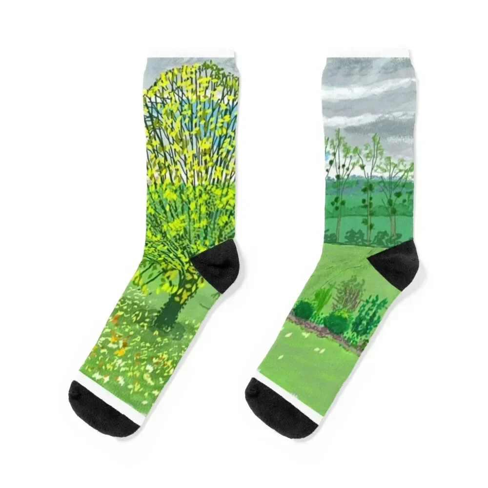 

David Hockney three Tree David Hockney Inspired Art Prints Socks professional running floor Socks For Men Women's