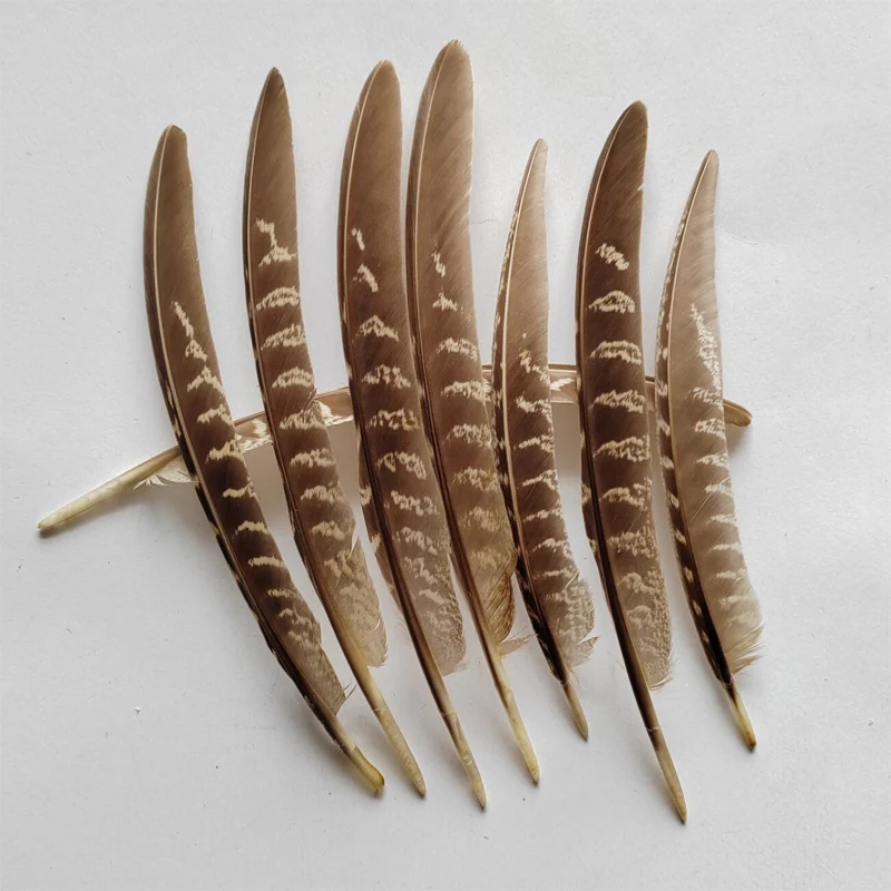 200Pcs/LOT,13-20CM NATURAL Ringneck Pheasant Wing Feathers,Wholesale Plume Quills,Male/Female Ringneck Quills