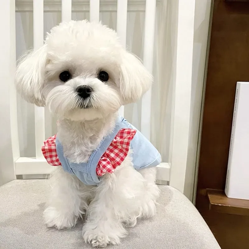 

Pet Cartoon Sling Cat Teddy Summer Vest Poodle Fashion Pullover Sweatshirt Schnauzer Thin T-shirt Dog Products
