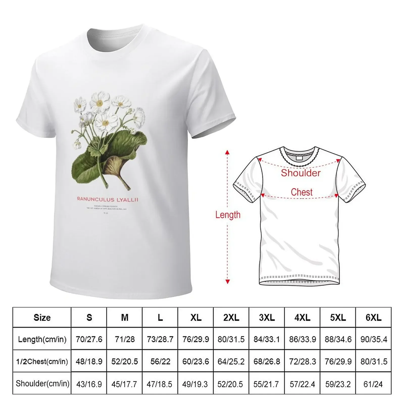 Mount Cook lily or Ranunculus lyallii T-shirt customs design your own quick-drying T-shirt men