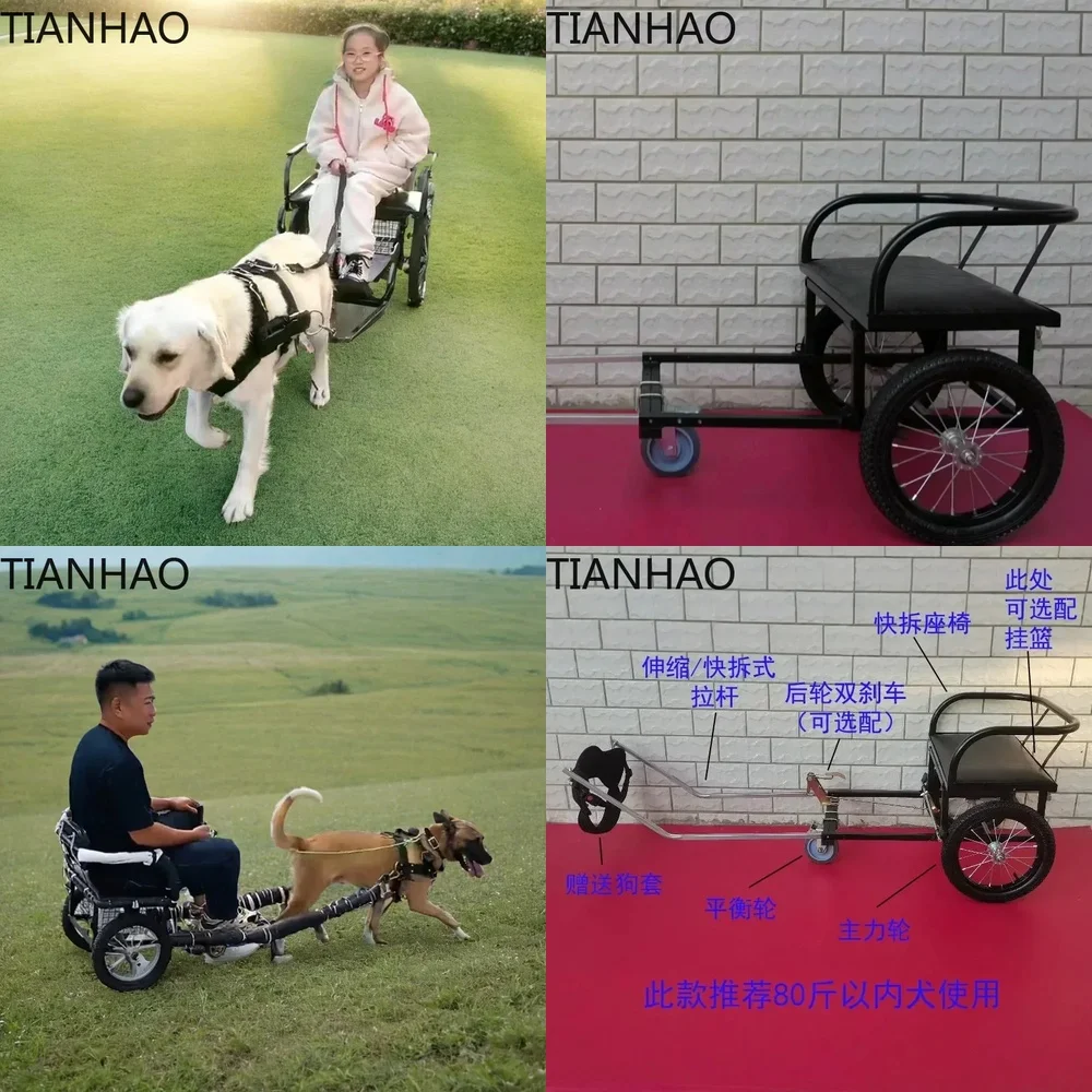 Dog Pull Pet Trailer Kit for Human Riding and Dog Walking Suitable for Samoyed Golden Retriever Husky Labrador