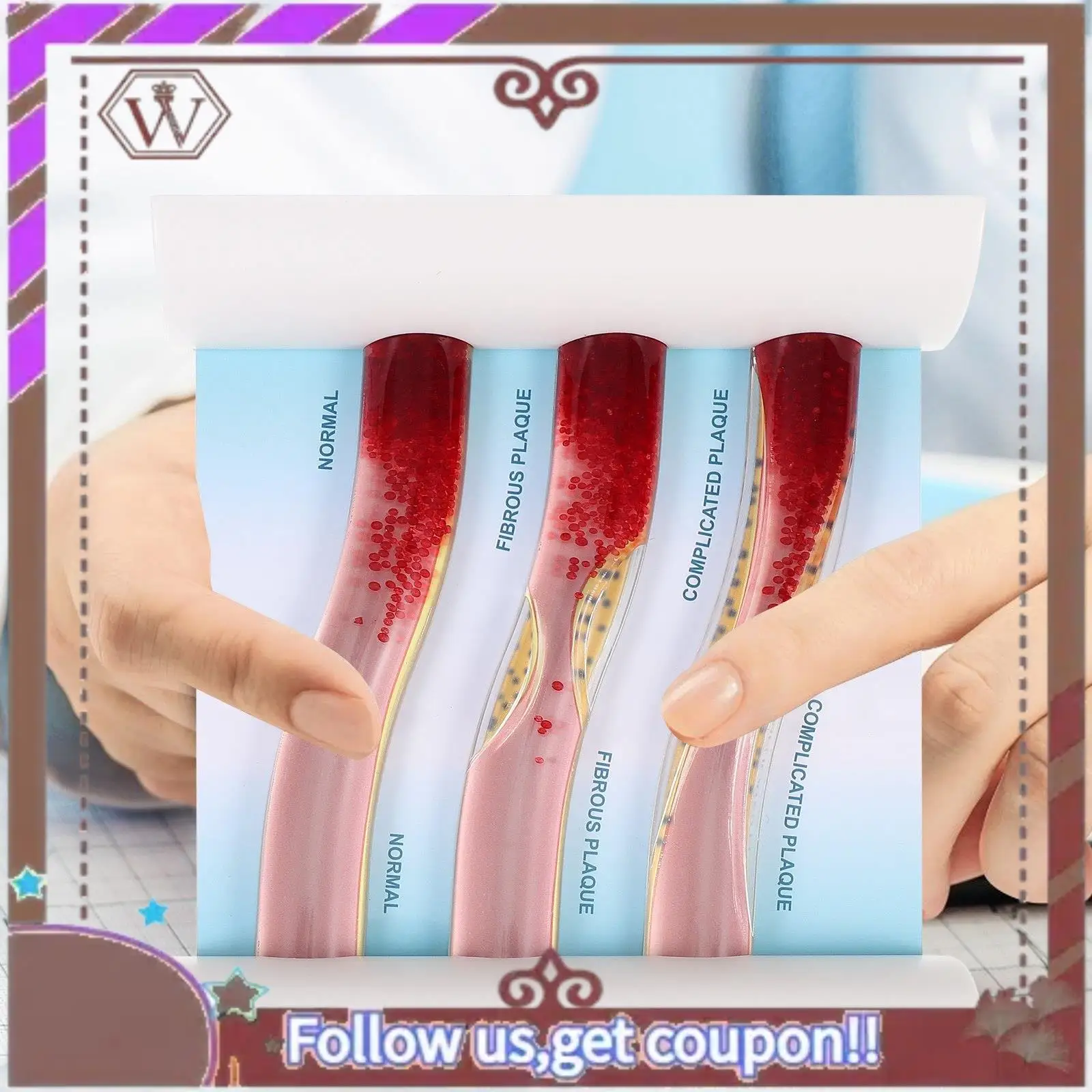 ABBG-نموذج الأوعية الدموية الديناميكية انسداد القلب والأوعية الدموية نموذج التباين نموذج التخثر للترويسة