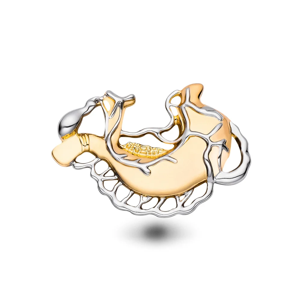 

Harong New Stomach Pin Classic Anatomy Human Organs Brooch Lapel Badge for Biological Medical Stuednt Internship Gift
