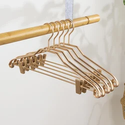 1pcs Gold Coat Hangers Solid Aluminum Alloy Seamless Matte Clothes Hanger Trousers Sweater Storage Racks Wardrobe Organizer