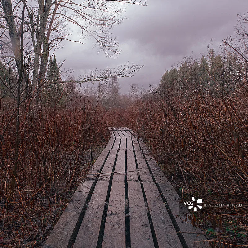 

Комплект обновления GEPRC Tern-LR40 O4 Pro — высокоточные формованные детали для 4-дюймового FPV дрона для фристайла, замены и ремонта своими руками