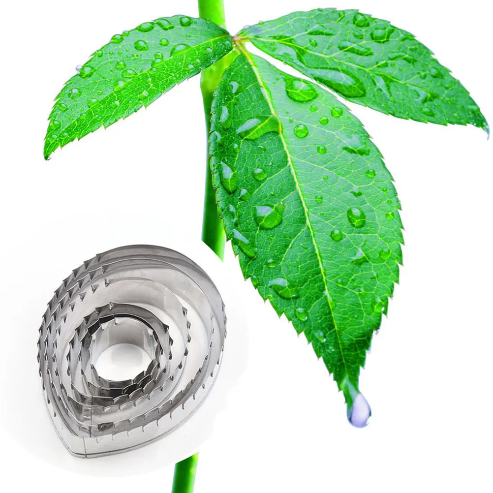 6Pcs Food Grade Sta…