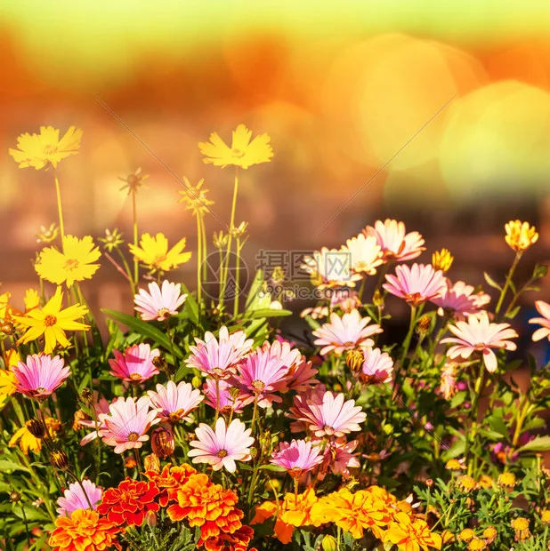 

GEPRC MATEN 1.2G 5W (5000mW) VTX Pro FPV Transmitter, IRC Tramp Protocol – For Long-Range Quadcopter & Freestyle Drone DIY