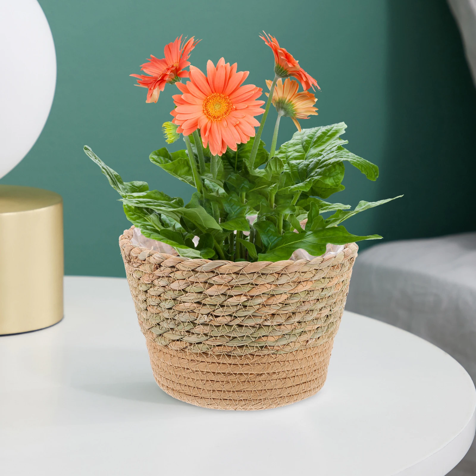 

Rustic Straw Woven Planter Basket Flower Arrangement Indoor Plants Decor Modern Farmhouse Style Durable Plant Basket