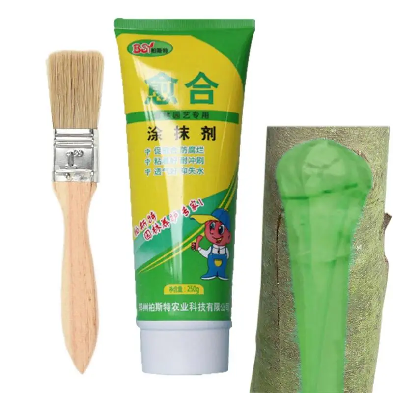 

Tree Pruning Sealer 250g Pruning Compound Sealer With Brush Bonsai Wound Healing Agent Plant Pruning Heal Paste Tree Grafting