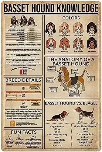 Generic Basset Hound Dog Knowledge Metal Tin Sign Basset Hound Colors Wallart Artwork Poster Farm School Office People Cave sign