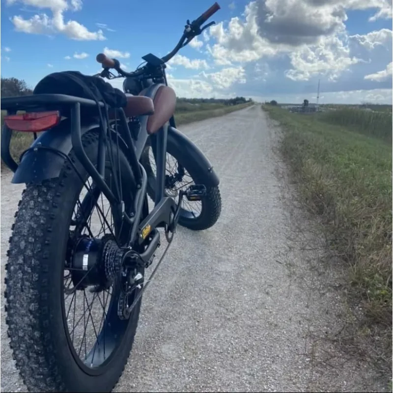 

Clrak 750W Hot Selling Fat Tire Electric Bike Long Range off Road Electric Bike Retro Style electric bicycle in Us warehouse