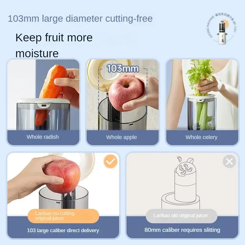 BLAUPUNKT Big Mouth Juicer with Pulp Separation- Multifunctional Electric Juicer for Home and Commercial Use 220V