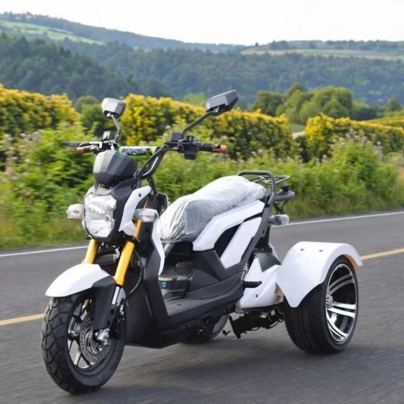 60V 45Ah Removable Battery Open Body Electric Tricycle Scooter with 2 Passengers 1000W Power 30-50Km/h Speed